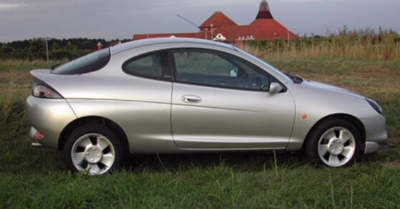 80-puma.jpg (65399 bytes)