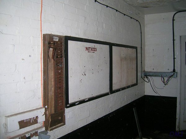 mini-11